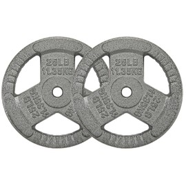 OLIXIS 1-Inch Standard Cast Iron Weight Plate with Multiple Sizes for Strength Training and Weightlifting, 25LBS, 2-Pack