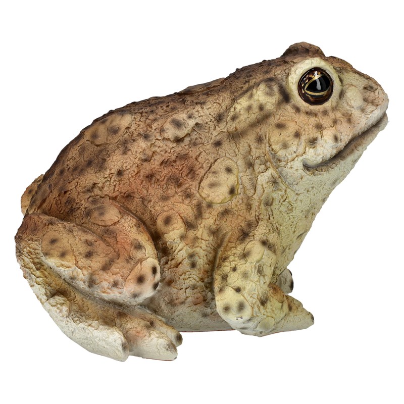 Figuren Shop GmbH HotAnt Realistic Garden Toad 12.5 cm Weatherproof