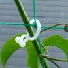 The Work, Will one-touch [Green Curtain] Gardening for convenient clip