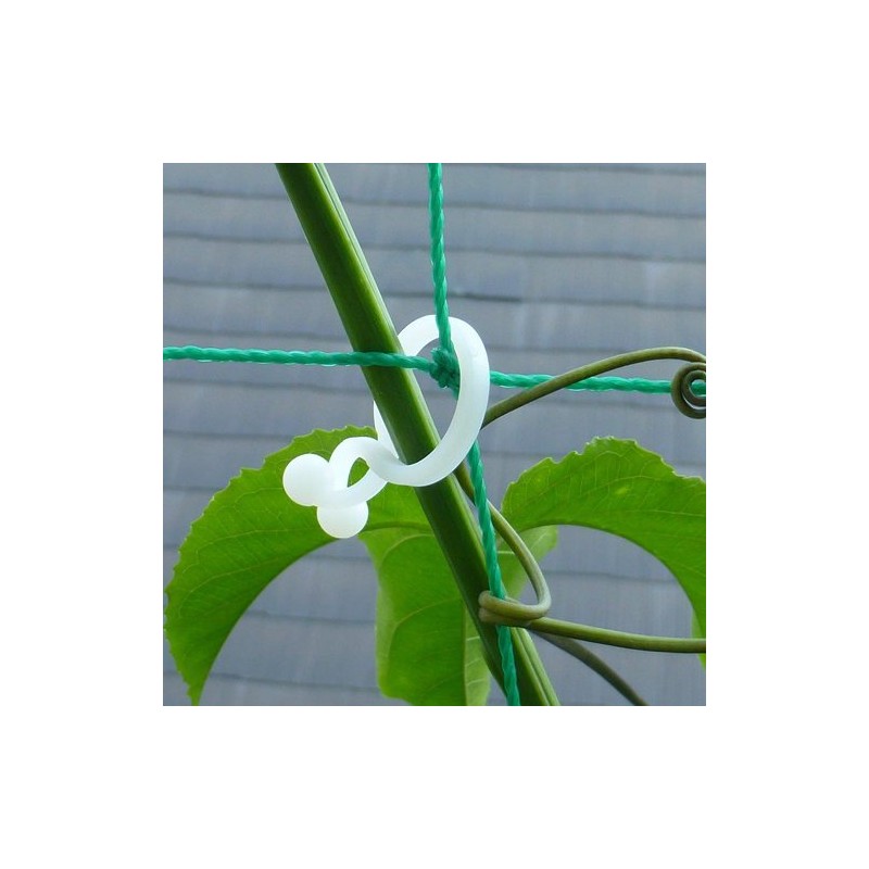 The Work, Will one-touch [Green Curtain] Gardening for convenient clip