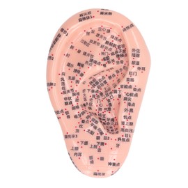 6.7in Ear Acupuncture Model Silicone Engraving Ear Massage Acupuncture Model for Home Laboratory