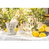 Crystal Limoncello Cordial Glasses | Set of 4 | Tall