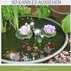 Mini Pond Complete Set with 2 Artificial Water Lilies Purple
