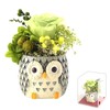 Oimoya Presents for the Aged Day, Preserved Flowers, Owl, Rose,
