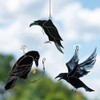 Vkyipg Raven Acrylic Window Wall Decor Stained Hanging Pendant for