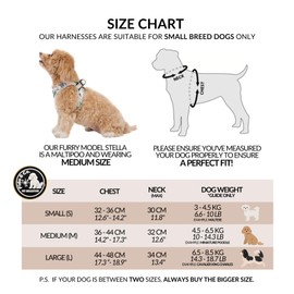 Fido & Co. Step in Reflective Dog Harness Vest - Small Dogs No Pull Soft Neoprene Breathable Cooling Puppy Canine Walking Essential Pet Supplies Pets Design