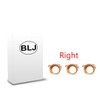 BLJ Hearing Amplifier Accessories, Right Side Battery Doors 3-Peice, Only