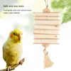 Bird Toys, Sola Stick Bird Toys Fun Interactive Beak Grinding