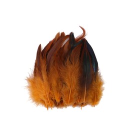 Uposao 100pcs Natural Rooster Feathers 14-20cm Craft Feathers Decoration Rooster Saddle Feathers Pheasant Feathers Decoration For Craft, DIY, Decoration, Costume, Prop Decoration