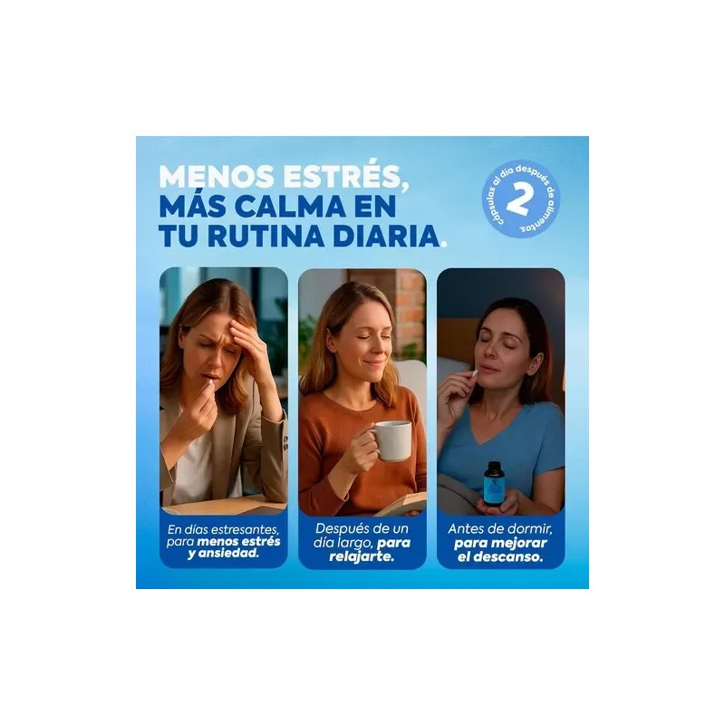 Nootropico Contra Ansiedad Con Gaba, Camomila 60cap Homodeus