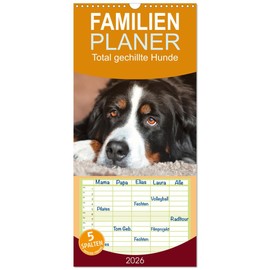 Familienplaner 2026 - Total gechillte Hunde mit 5 Spalten (Wandkalender, 21 cm x 45 cm), CALVENDO: Hundekalender mit gechillten Hunden (CALVENDO Tiere)