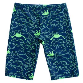 Aivtalk Traje de baño para niños, traje de baño de equipo de natación para jóvenes, secado rápido, UPF 50+, pantalones cortos de natación atléticos 4-12T, Dinosaur, 8-10 Años