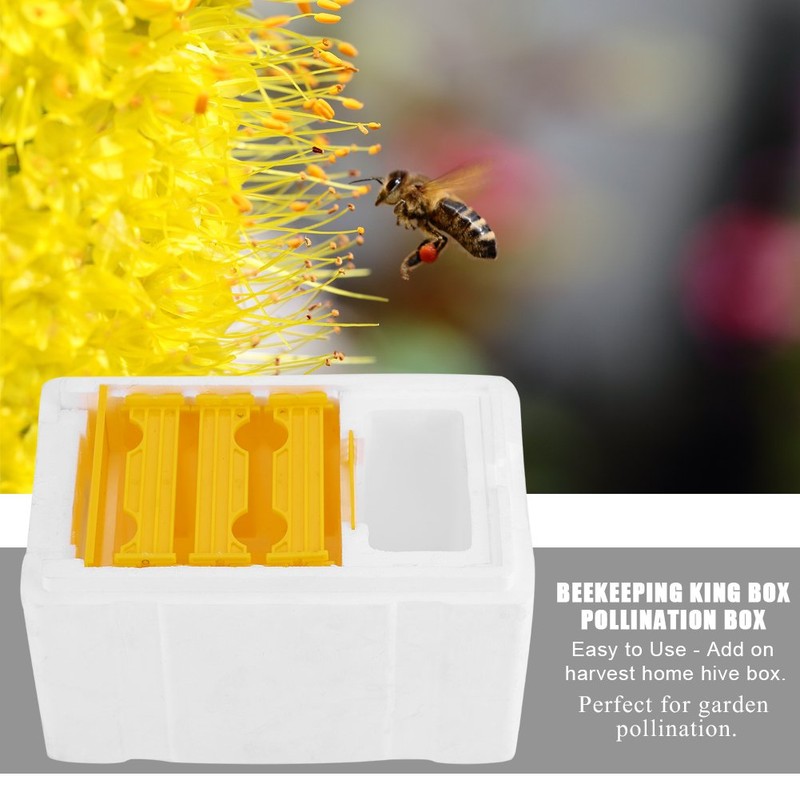 Wifehelper Beekeeping Queen Breeding Box EPS Harvest Bee Hivess Pollination