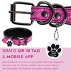 FAVPET Luxury Genuine Leather Greyhound Collar Wide with QR Code