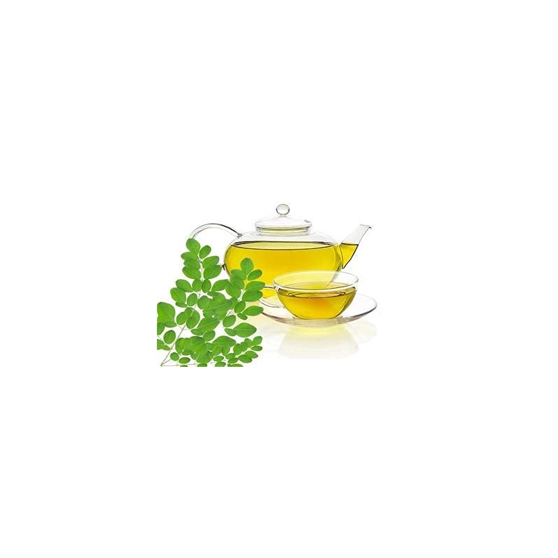 Moringa Leaf - Dried Moringa oleifera Leaf C/S 100% from