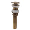 Pop Up Sink Drain Vintage Sink Vessel Drain Stopper Plant