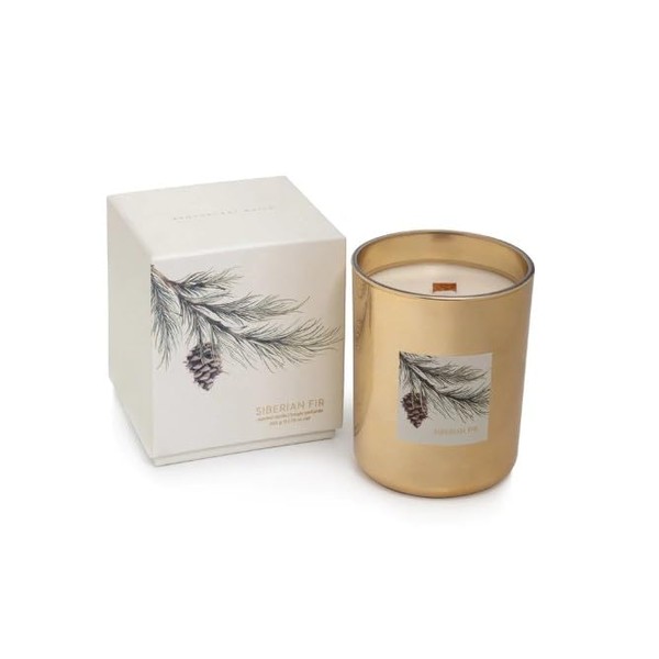 Siberian FIR Zodax Wooden Wick Scented Jar Candle in Gray
