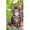 Kittens: 2025-2026 28-Month Inspirational Pocket Planner