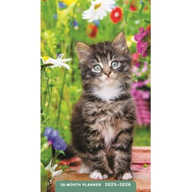 Kittens: 2025-2026 28-Month Inspirational Pocket Planner