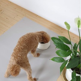 San-Luna Waterproof Anti-Slip Sheet, 22.4 x 31.5 inches (57 x 80 cm), Gray, Made in Japan | Waterproof, Non-slip, Pets, Small Dogs, Medium Dogs, Large Dogs, Elderly Dogs, Elderly Dogs, Elderly Dogs,