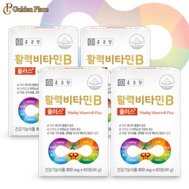 Chong Kun Dang Vitality Vitamin B Plus 800mg x 60 tablets (4) Energy Vitality Fatigue G / 종근당 활력 비타민B 플러스 800mg x 60정 4개 에너지 생기 피로 G