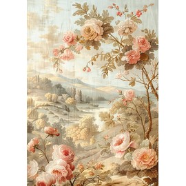 Ciao Bella Tissue Paper A4/6 Paper Century 21 x 29.7 cm