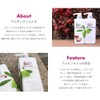 Buer Argan & Olive Oil Conditioner 550 ml