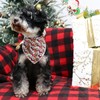 Lionet Paws Christmas Dog Bandana for Small Medium Large Dogs,
