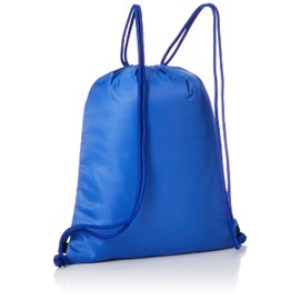 Champion C3-XB726B Script Logo Laundry Bag Accessories, blue