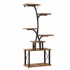 TOMNK Plant Stand with Grow Lights Indoor, Curved Design Flower