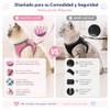 Pack de 2 Arnés para Perro y Gato con Correa