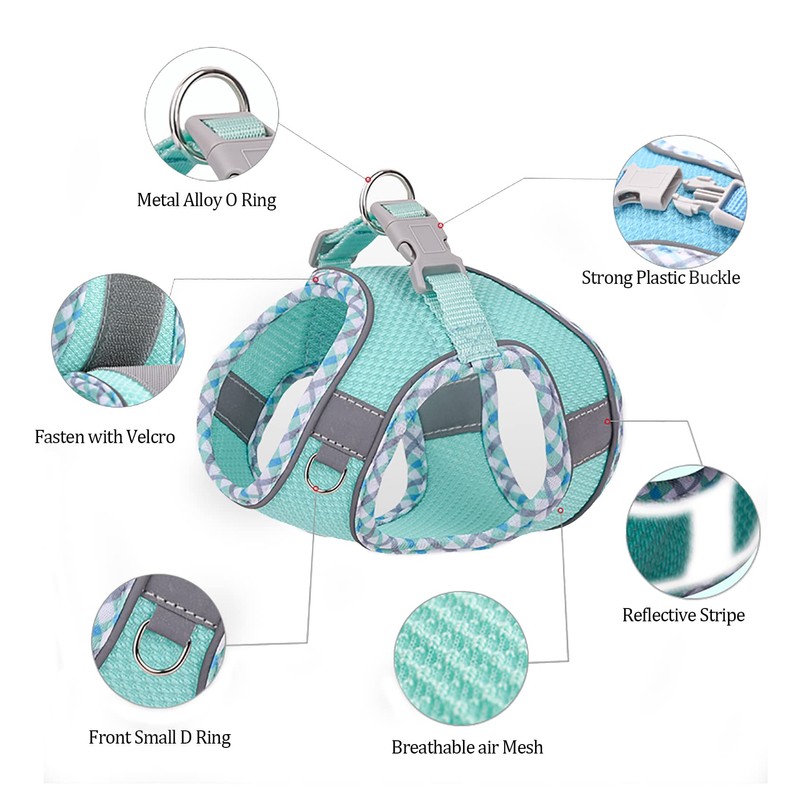 BTDCFY Step in Mesh Dog Harness and Leash Set Breathable