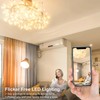 DiCUNO G4 LED Bulbs 12V 1.2W T3 10W Halogen Bulbs