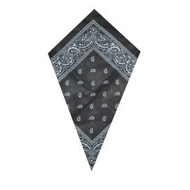 PAISLEY BANDANA scarf duo 1 x BLACK 1 x RED