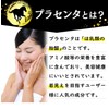 馬プラセンタ72000 お徳用360粒 北海道サラブレット胎盤使用 1日目安/4粒 約3ヶ月分 1袋当たり馬生胎盤 約72,000mg相当配合