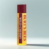 Burt's Bees Pomegranate Moisturizing Lip Balm Wild Cherry, 4.25g, 1 piece / 버츠비 포메그래니트 모이스처링 립밤 와일드체리, 4.25g, 1개