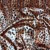 Satin Print Fabric Cheetah Pattern for Craft and Decoration (1Yd,