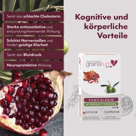 Granatum Plus | Punicalagin Hydroxytyrosol Plus | Pomanox | Mediteanox | Pomegranate Extract | Olive Extract | Dietary Supplement | (3 Boxes of 60 Capsules)