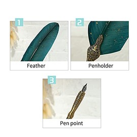 Domary Juego de pluma y tinta vintage, pluma estilogrfica brillante, pluma de inmersin de caligrafa, pluma de firma con puntas de repuesto, soporte...