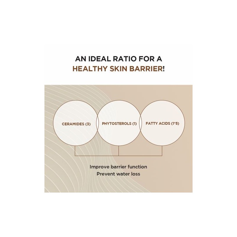 SKIN1004 [SKIN1004]Madagascar Centella Probio-Cica Intensive Ampoule 50ml