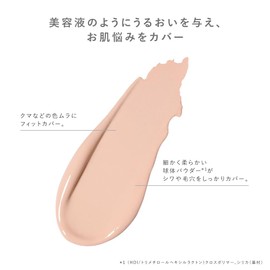 The Flower Shop Concealer (Orange)