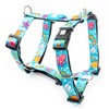 Max & Molly H-Harness – Blue Ocean, S