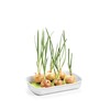 Tescoma 899098 Sprouting Bucket, Two Bowls with Grid and Sprout