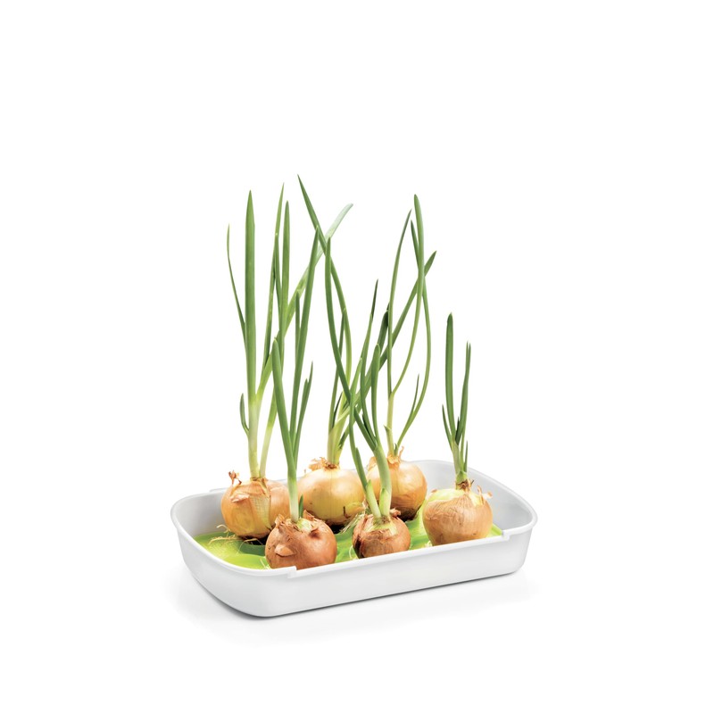 Tescoma 899098 Sprouting Bucket, Two Bowls with Grid and Sprout