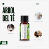 VIDA SCENTS OLEOS Aceite Esencial de Árbol Té 10 ML