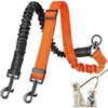 Double Dog Lead No Tangle, No Tangle Split Lead for