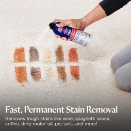 Bissell Professional Power Shot Oxy Carpet Spot & Stain Remover, 14 oz (Pack of 2), 95C9L