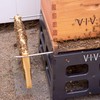 VIVO Black Plastic Beehive Stand for 10 Frame Langstroth Hives,