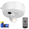 Alivation Wireless LED Picture Lights Battery Operated Spot Lights Indoor,