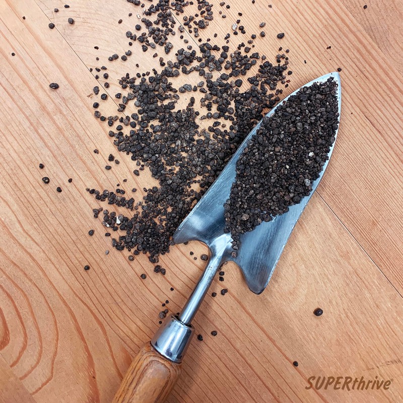 SUPERthrive Organic All-Purpose Plant Food, Solid Granular 4-4-4 (2 Pack)